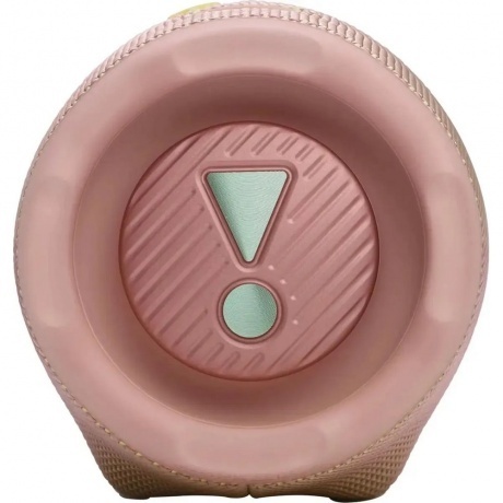 Портативная колонка JBL Charge 6 (JBLCHARGE6BLU) Pink - фото 9