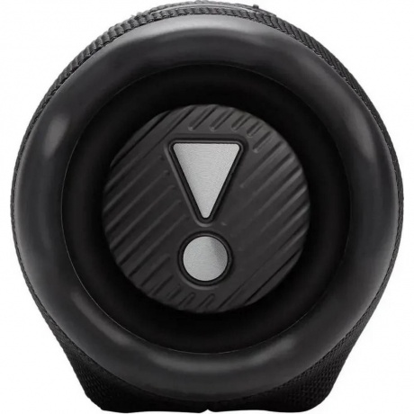 Портативная колонка JBL Charge 6 (JBLCHARGE6BLK) Black - фото 5