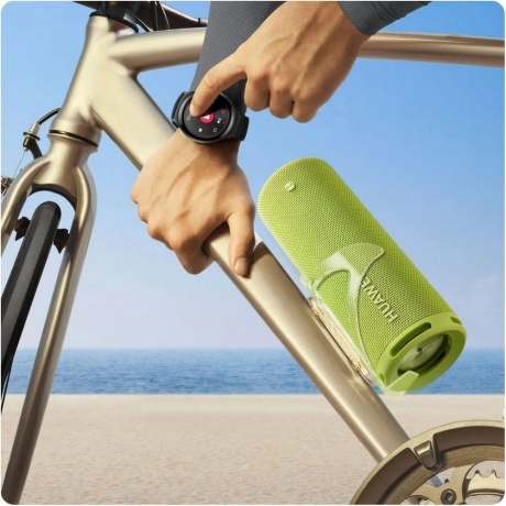 Портативная колонка Huawei Sound Joy 2 (55020CXX) Green - фото 10