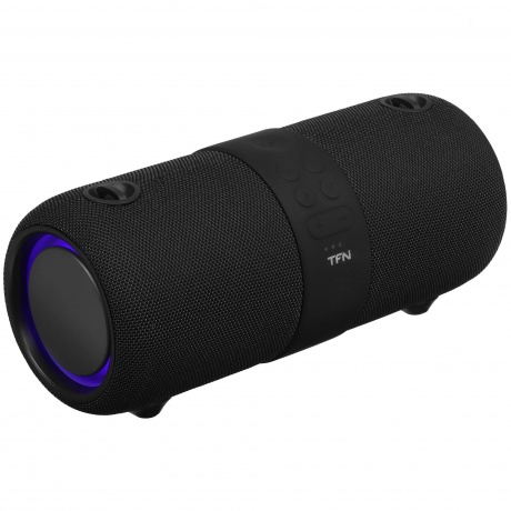 Портативная колонка TFN Beat black - фото 1