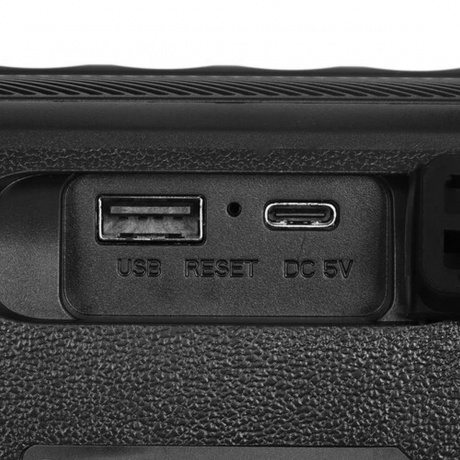 Портативная колонка Sven PS-255 (SV-022563) Black - фото 6