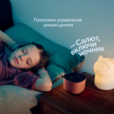 Умная колонка SberBoom Home SBDV-00171G Туманный - фото 9
