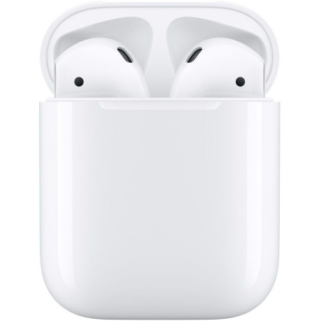 Наушники Apple AirPods 2 MV7N2AM/A with Charging Case - фото 1