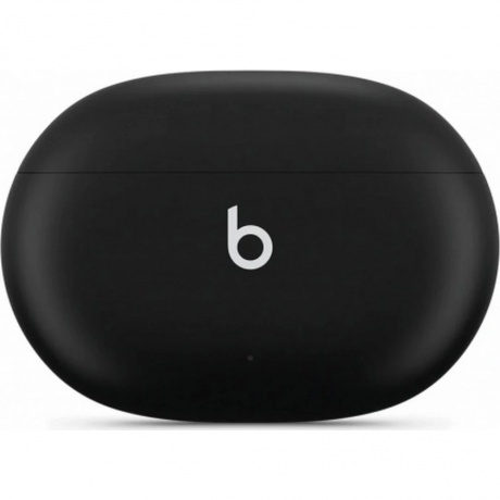 Наушники Beats Studio Buds Black MJ4X3CH/A - фото 12