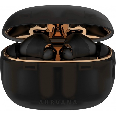 Наушники Creative Aurvana Ace 2 (TWS) 51EF1160AA000