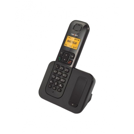 Радиотелефон teXet TX-D6605A Black - фото 1