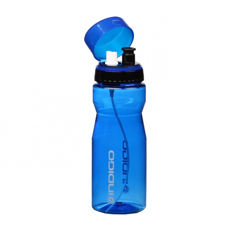 Бутылка для воды INDIGO VIVI, IN012, Синий, 700 мл - фото 1