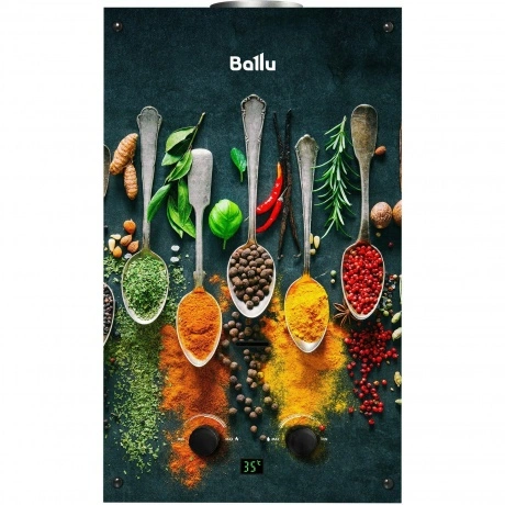 Колонка газовая Ballu GWH 10 Fiery Glass Curry