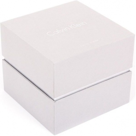 Наручные часы Calvin Klein K1S21120 - фото 2