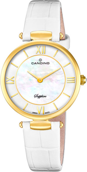 Наручные часы Candino C4670/1
