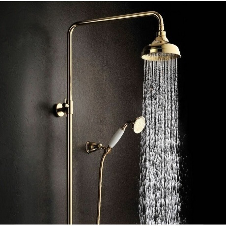 Душевая система для душа Lemark Brava LM4760G - фото 2