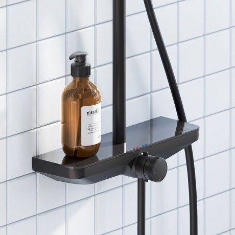 Душевая система Damixa Scandinavian Pure 940730300 чёрный матовый - фото 4