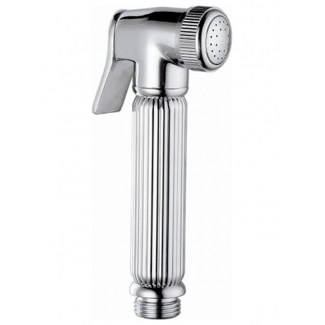 Лейка FASHUN гигеническая хром A24 1185₽