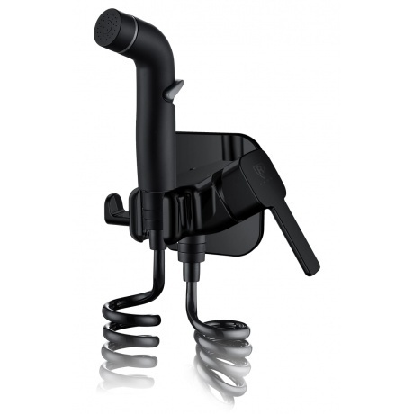 

Смеситель c гигиеническим душем встраиваемый RUSH Capri (CA1435-99Black)