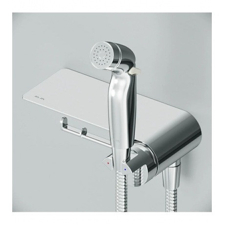 

Гигиенический набор для душа AM.PM Func F0H8F900 хром