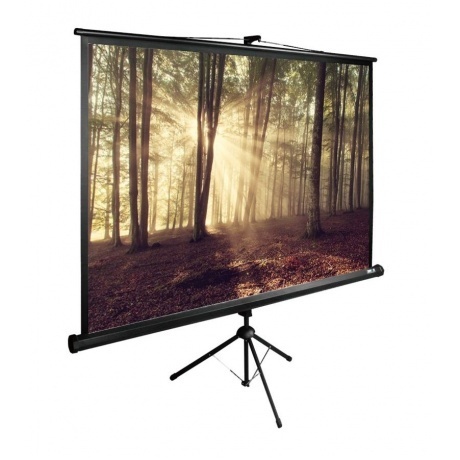 Экран напольный Cactus TriExpert CS-PSTE-180X135-BK черный - фото 1