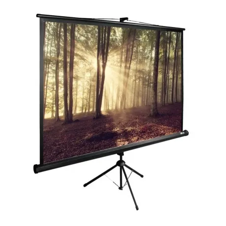 Экран напольный Cactus TriExpert CS-PSTE-180X135-BK черный