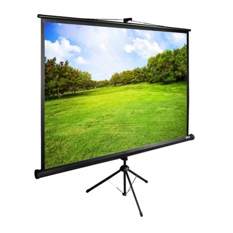 Экран напольный Cactus TriExpert CS-PSTE-200X150-BK черный - фото 1