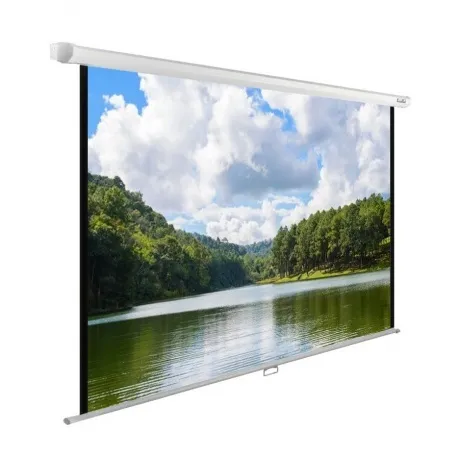 Экран настенно-потолочный Cactus WallExpert CS-PSWE-240X150-WT б...