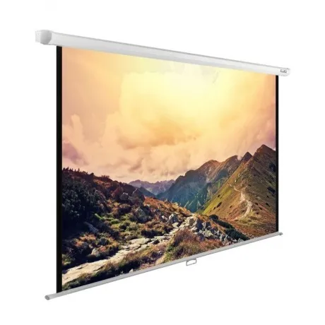 Экран настенно-потолочный Cactus WallExpert CS-PSWE-240X180-WT