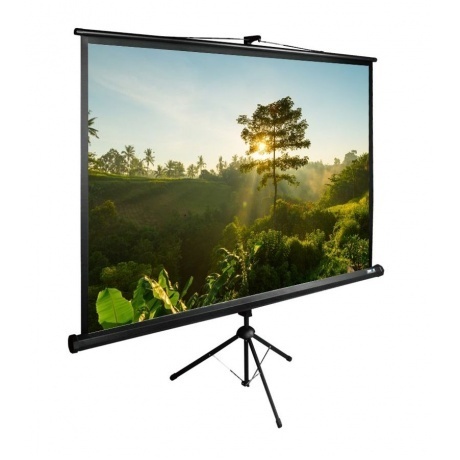 

Экран напольный Cactus TriExpert CS-PSTE-200X200-BK черный