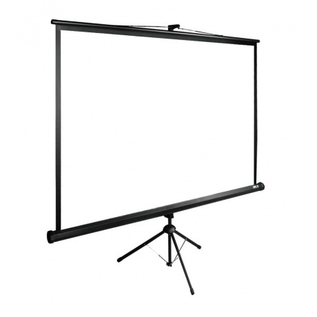 Экран напольный Cactus TriExpert CS-PSTE-200X200-BK черный - фото 2