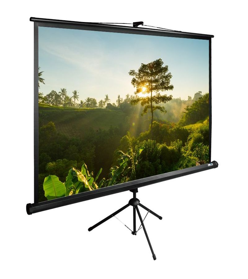 цена Экран напольный Cactus TriExpert CS-PSTE-200X200-BK черный