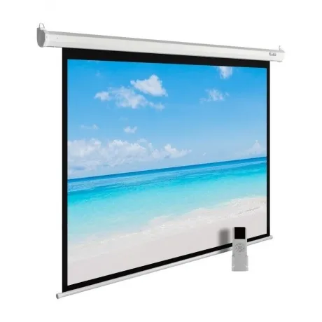 Экран настенно-потолочный Cactus MotoExpert CS-PSME-300X225-WT б...