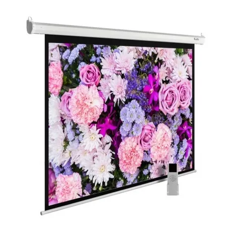 Экран настенно-потолочный Cactus MotoExpert CS-PSME-420X315-WT б...