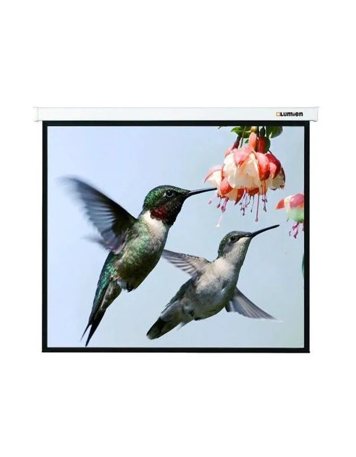 Экран настенно-потолочный Lumien Master Picture LMP-100117 280x202