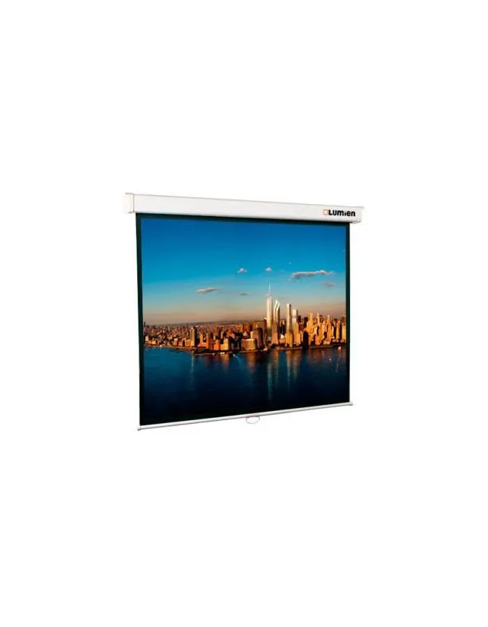 Экран настенно-потолочный  Lumien Master Picture LMP-100105 207x207 белый