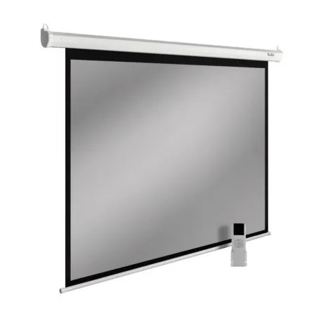 Экран настенно-рулочный Cactus SIlverMotoExpert CS-PSSME-220X138...