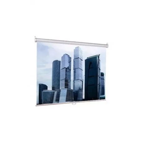 Экран настенно-потолочный Lumien Eco Picture LEP-100118 164x240
