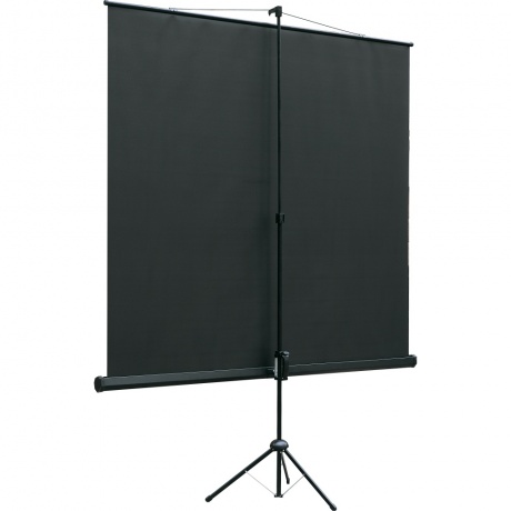 Экран на штативе Lumien Eco View LEV-100110 128x171 - фото 2