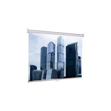 Экран настенно-потолочный Lumien Eco Picture LEP-100106 127x127