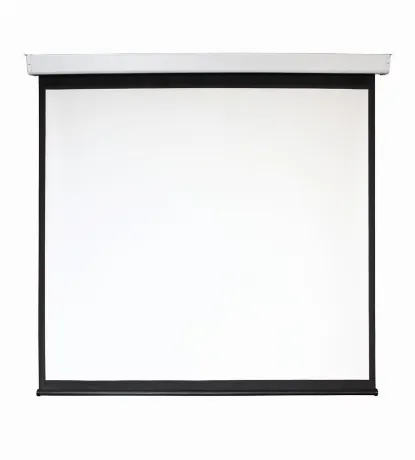 Экран настенно-потолочный Digis Electra-F DSEF-1108 240x240