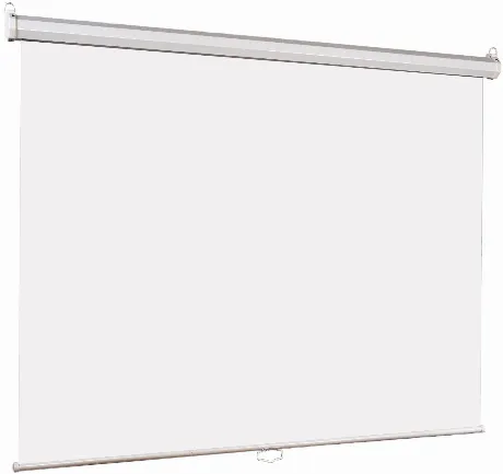 Экран настенный Lumien Eco Picture LEP-100117 142х200