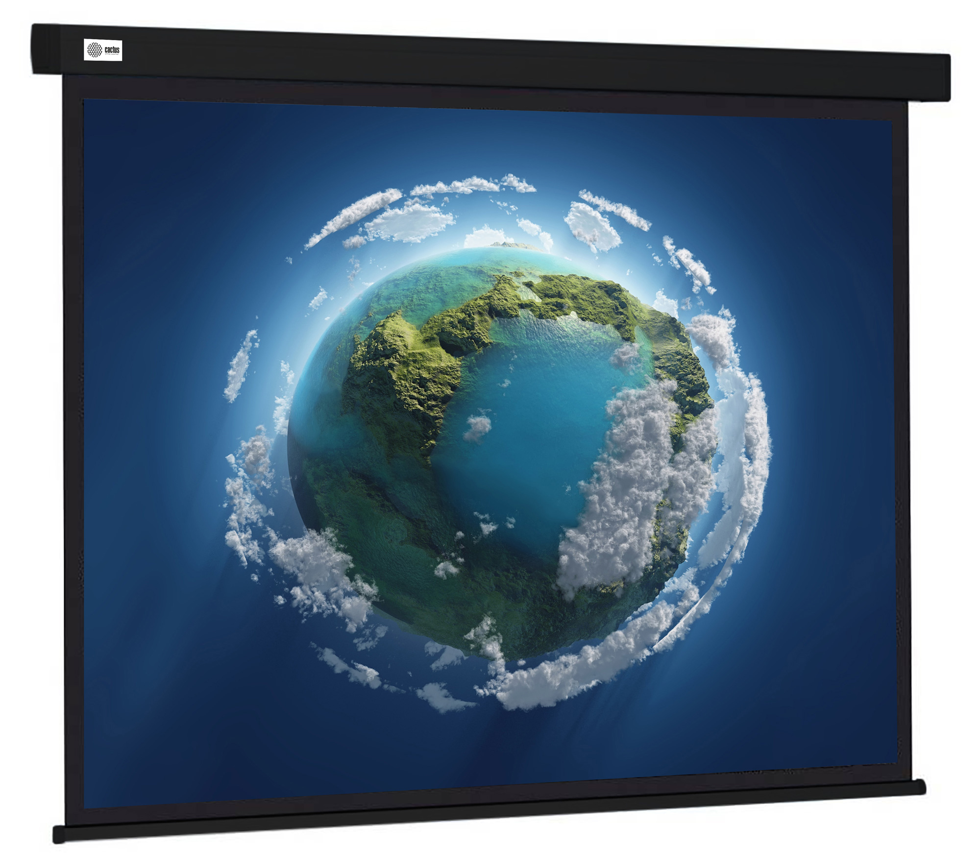 цена Экран Cactus 127x127см CS-PSW-127X127-BK 1:1 черный