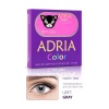 Контактные линзы цветные Adria Color 1T (2 pack) R 8,6 D -1,00 2...
