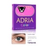 Контактные линзы цветные Adria Color 3T (2 pack) R 8,6 D -2,50 2...