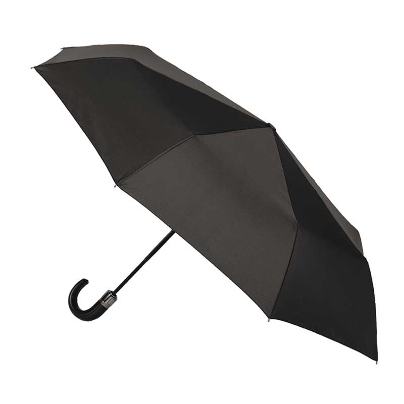 Зонт Flioraj Педант 31002, цвет черный