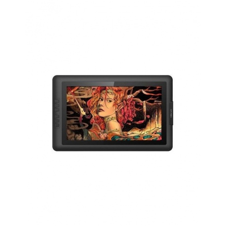 Графический планшет XP-PEN Artist 15.6 Pro черный - фото 1