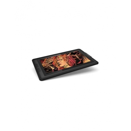 Графический планшет XP-PEN Artist 15.6 Pro черный - фото 3