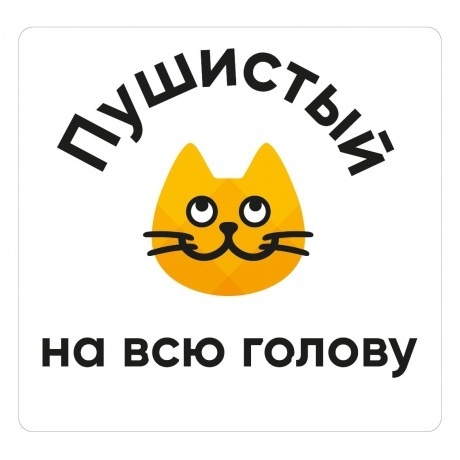 Наклейка на авто Котофото в ассортименте - фото 2