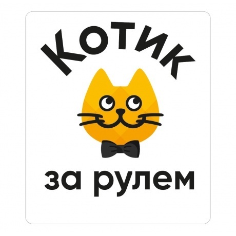 Наклейка на авто Котофото в ассортименте - фото 5