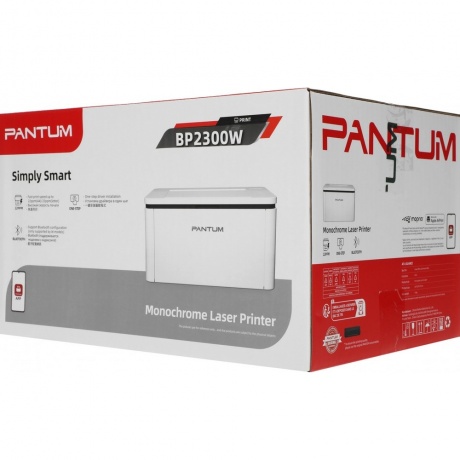 Принтер лазерный Pantum BP2300W A4 WiFi белый - фото 2