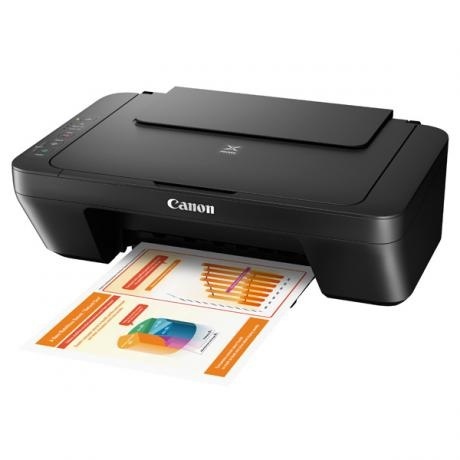 МФУ Canon Pixma MG2540S - фото 2