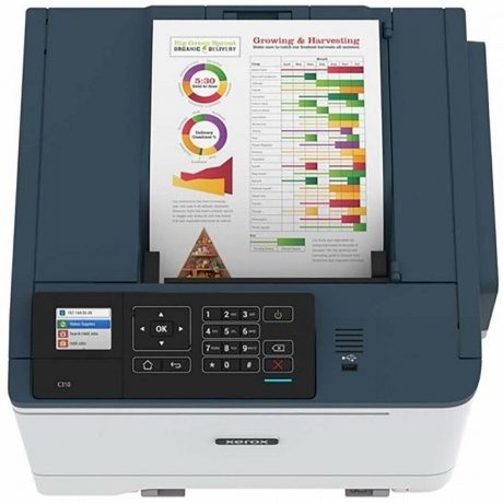 Принтер лазерный Xerox C310 (цветной, A4, 33ppm, 1200dpi, 1Gb, Duplex, WiFi, Lan USB) (C310V_DNI) - фото 2