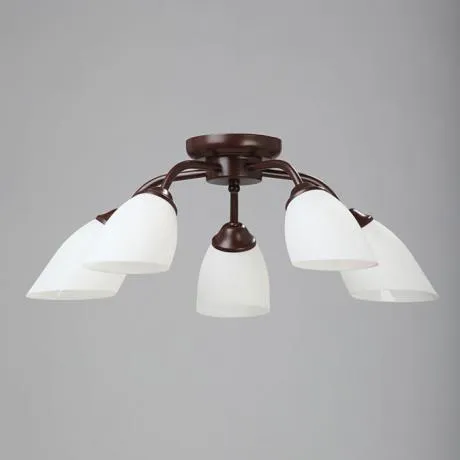 Люстра V3252/5PL, 5хЕ14 макс. 40Вт, плафон ПП