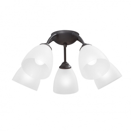 

Люстра Vitaluce V3737-2/5PL, 5xE14 макс. 40Вт, плафон ПП